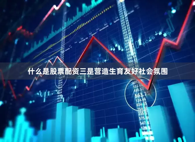 什么是股票配资三是营造生育友好社会氛围
